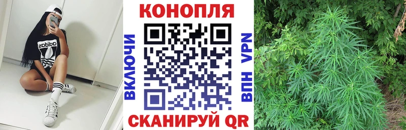 Бошки марихуана Bruce Banner  Электроугли 